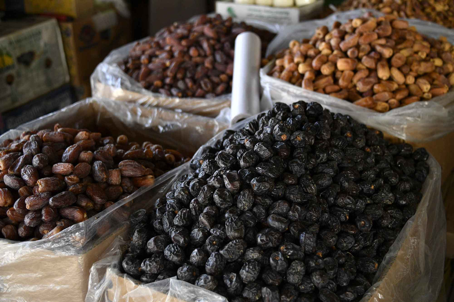 Al Madinah Dates